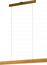 Page One Lighting Canada PP120288-BG - Prometheus Linear Pendant, Single Light Pendant