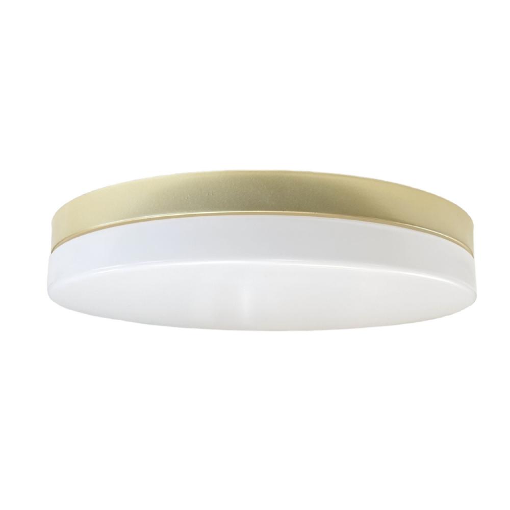 Flush Mount Satin Brass