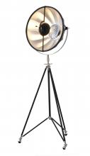 Bethel International Canada DLS75F23B - Metal Floor Lamp